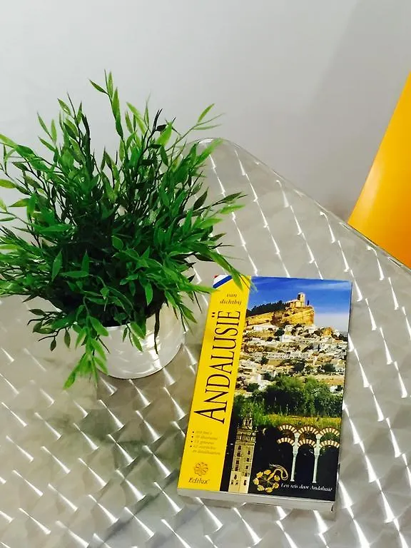 Апартаменты Malaga Centro Apartamentos